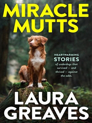 cover image of Miracle Mutts